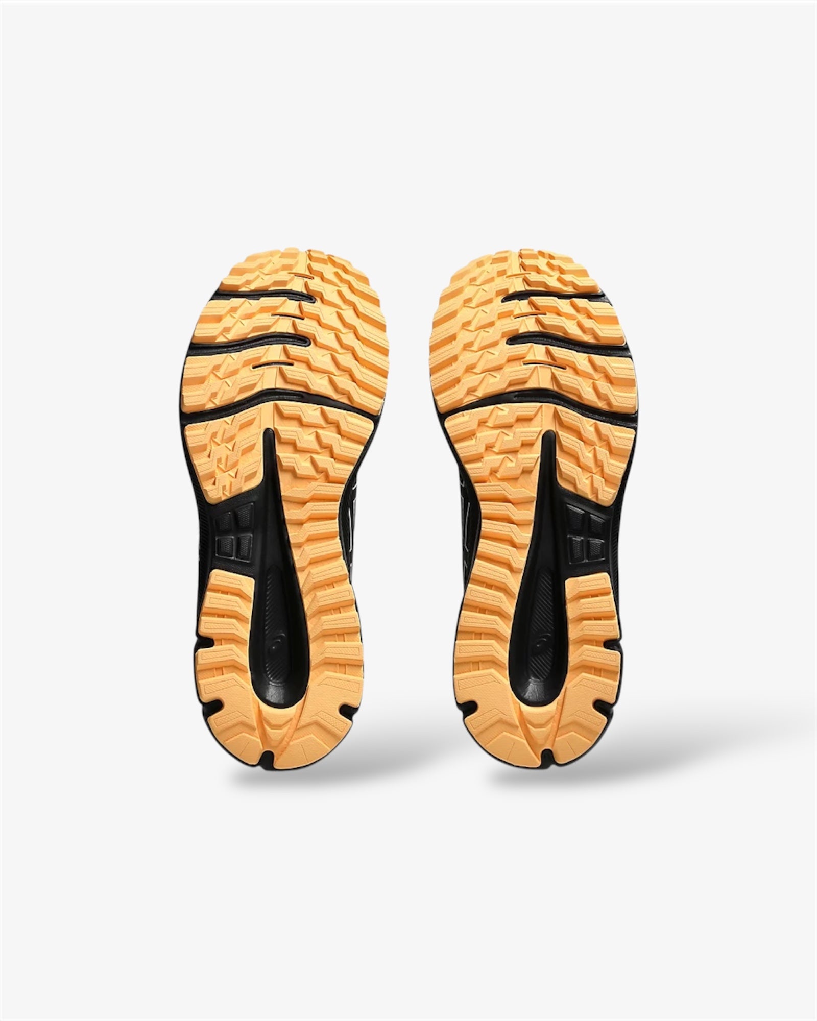 Trail Scout 3 in Black / White