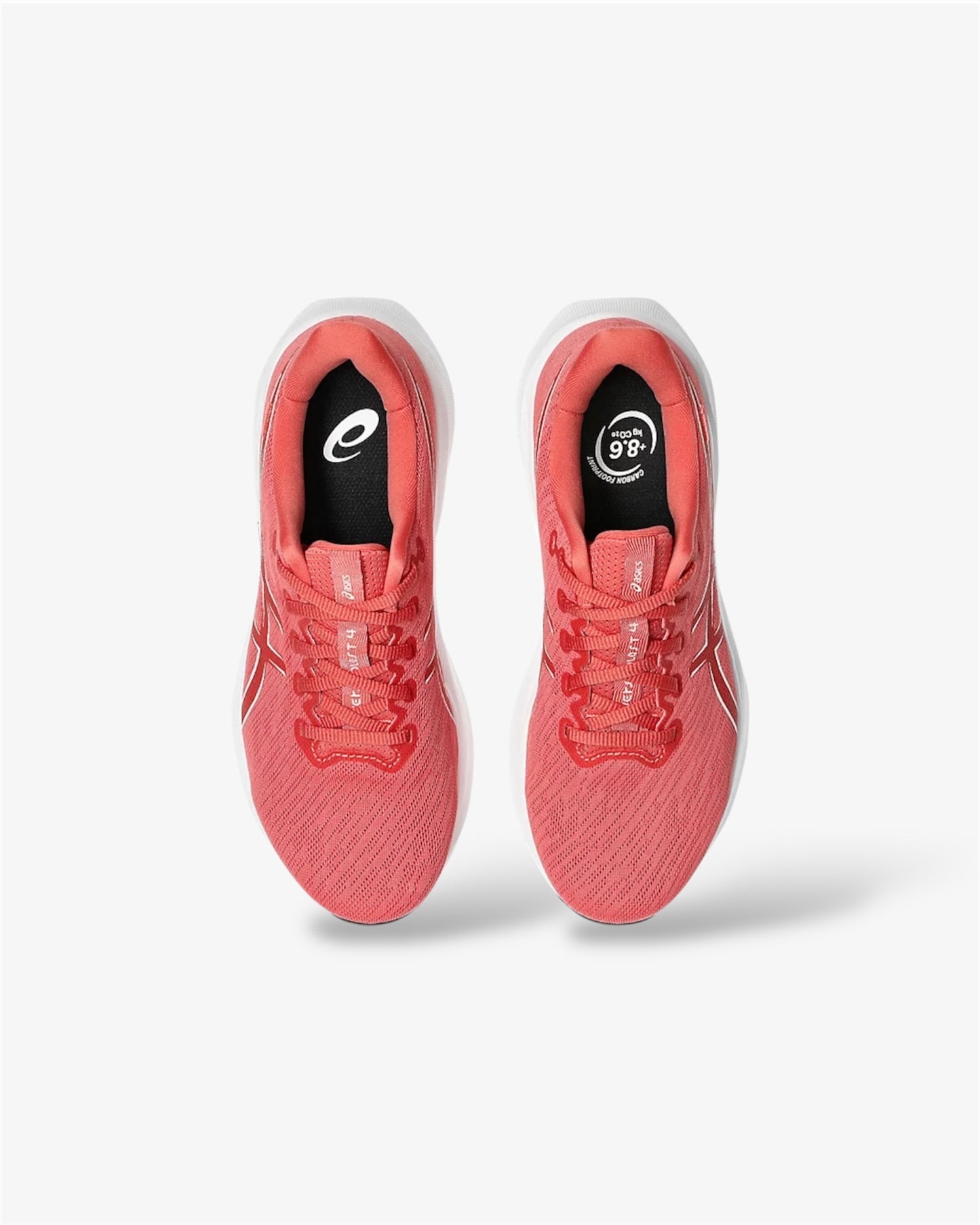 Versablast 4 in Dark Pink Clay / Birch