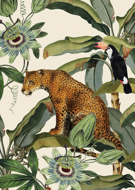 Leopard - African Exotics Collection Prints