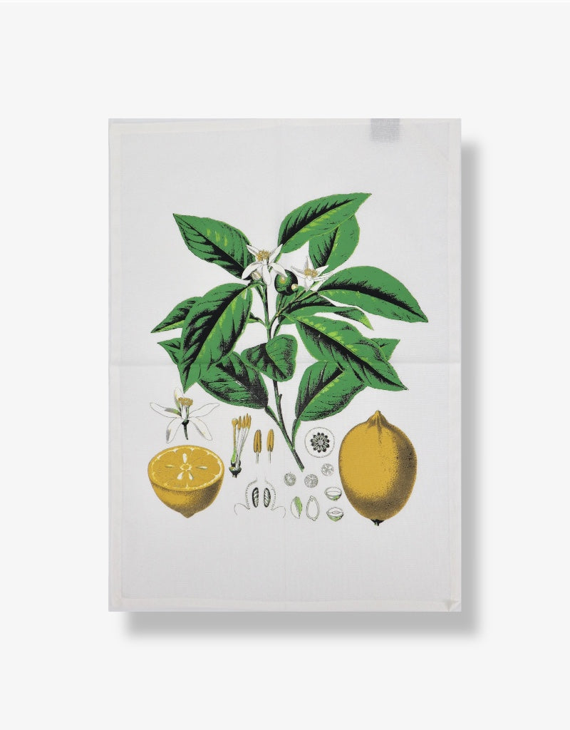 Printed Cotton Tea Towel in Botanical Lemon / White