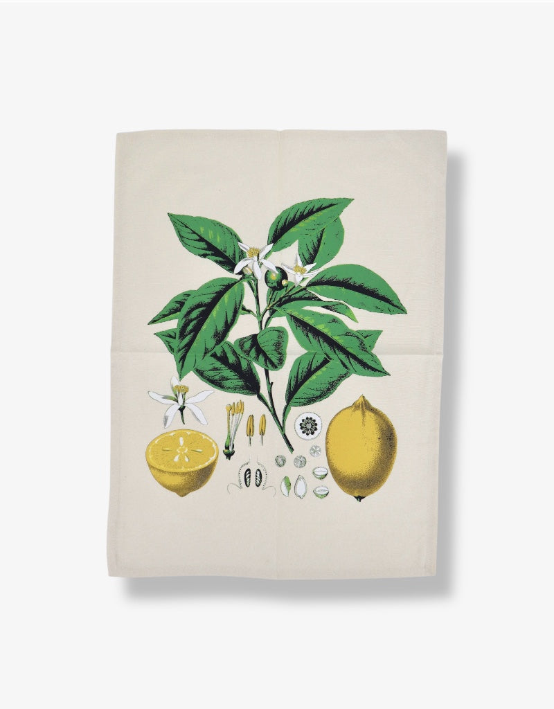 Printed Cotton Tea Towel in Botanical Lemon / Cream