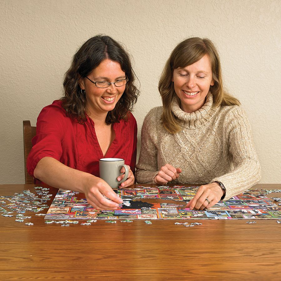 1000 Piece Puzzle in Catsville