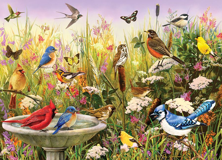 1000 Piece Puzzle in Feathered Friends