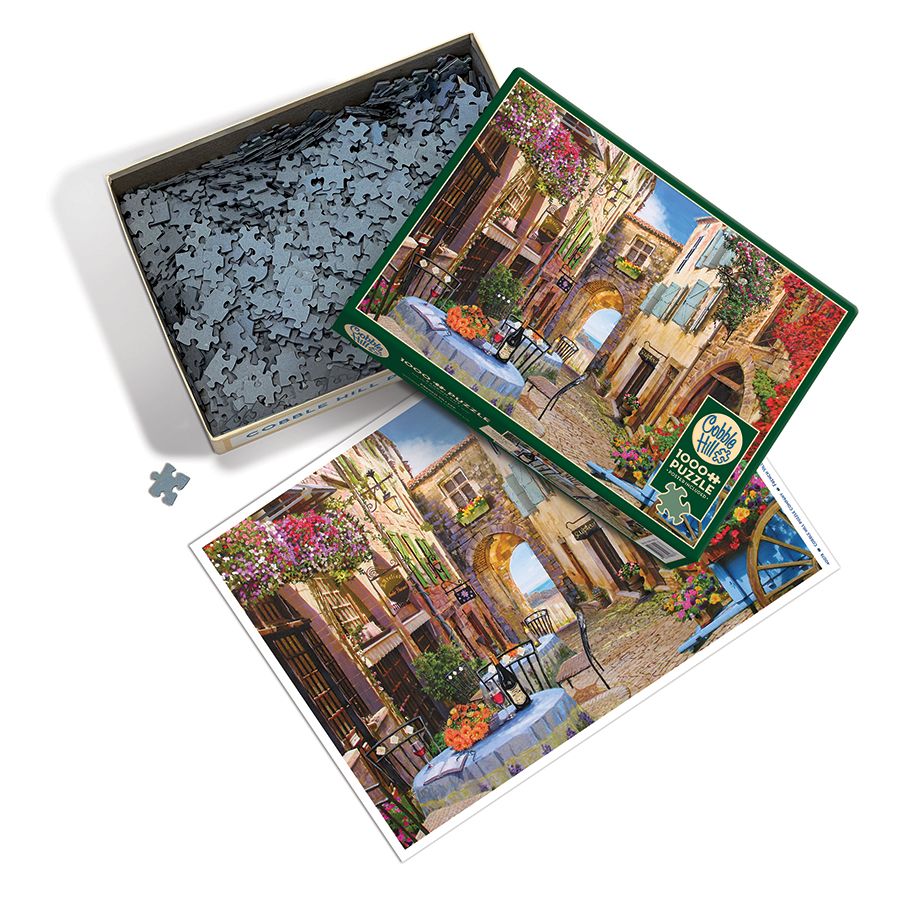 1000 Piece Puzzle in French Village