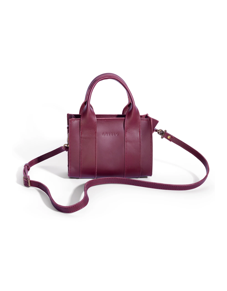 Berkley Leather Mini Crossbody Shopper in Merlot
