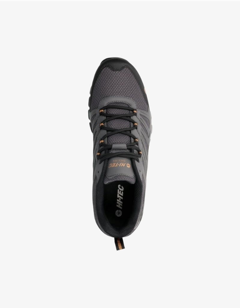 M Grand Paradiso Low in Asphalt / Brown Sugar