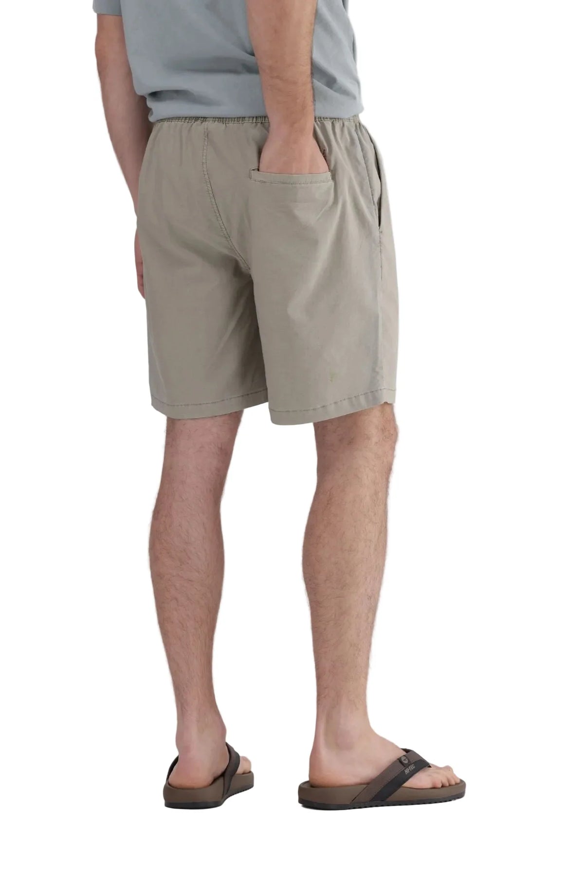 Stonewash Shorts in Winter Twig