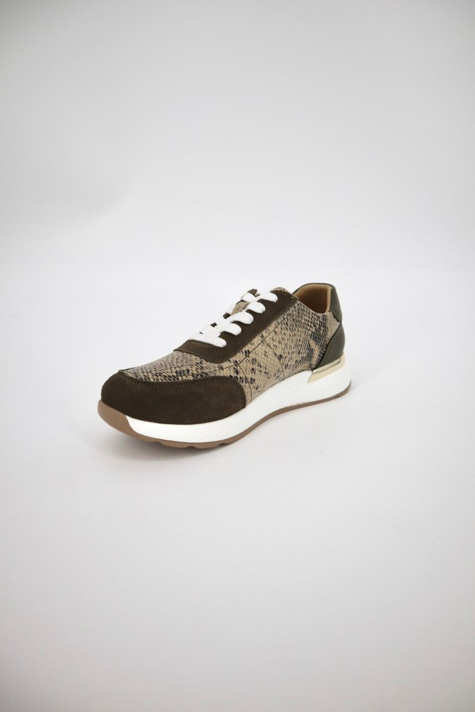 Nina Sneaker in Beige Snake