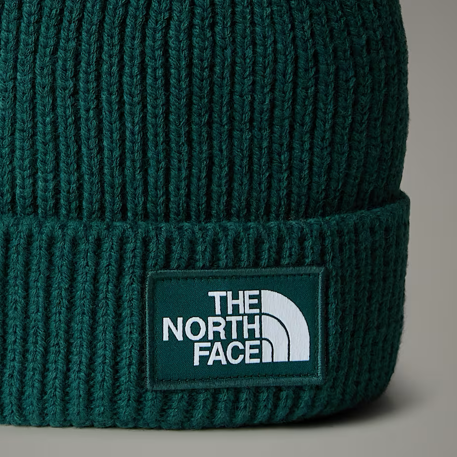 Box Cuffed Logo Beanie in Deep Nori/Duck Green