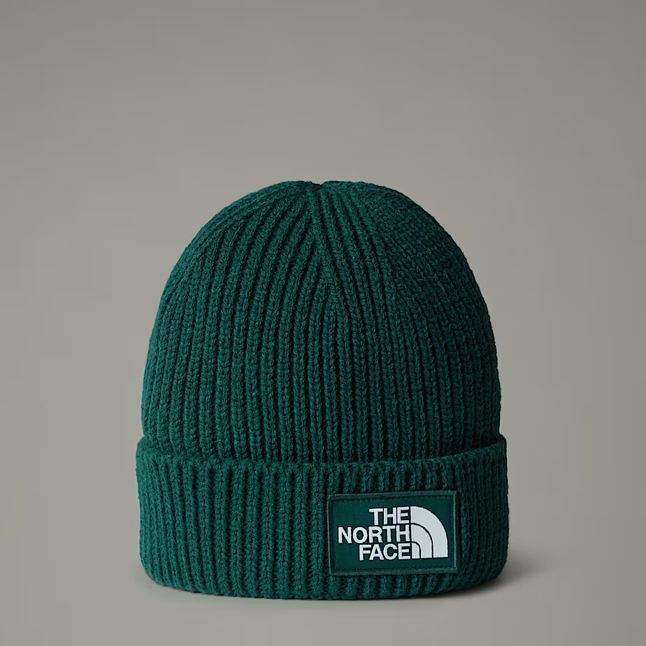 TNF Box Cuffed Logo Beanie in Green | Shop AP Jones Online Now