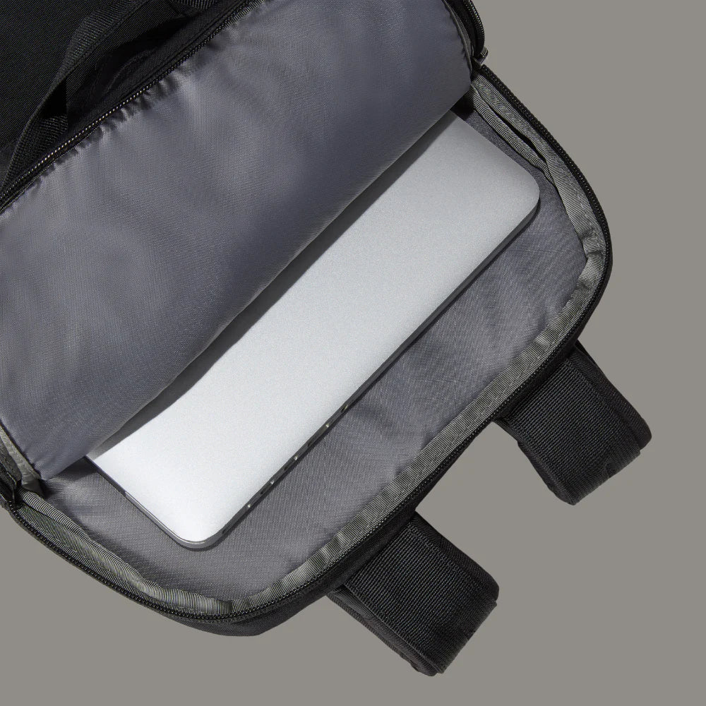 Berkeley Daypack in Black / Mineral Gold