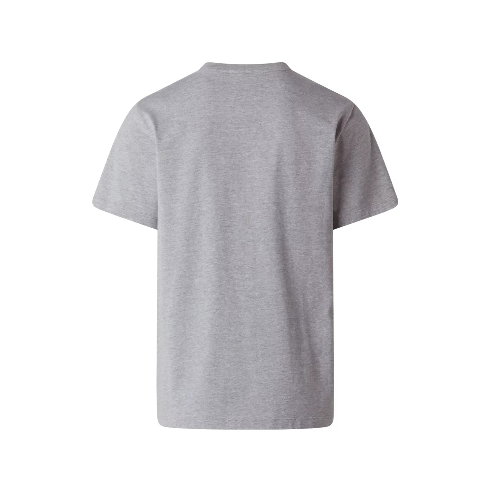 Evolution Simple Dome Regular SS Tee in TNF Light Heather Grey