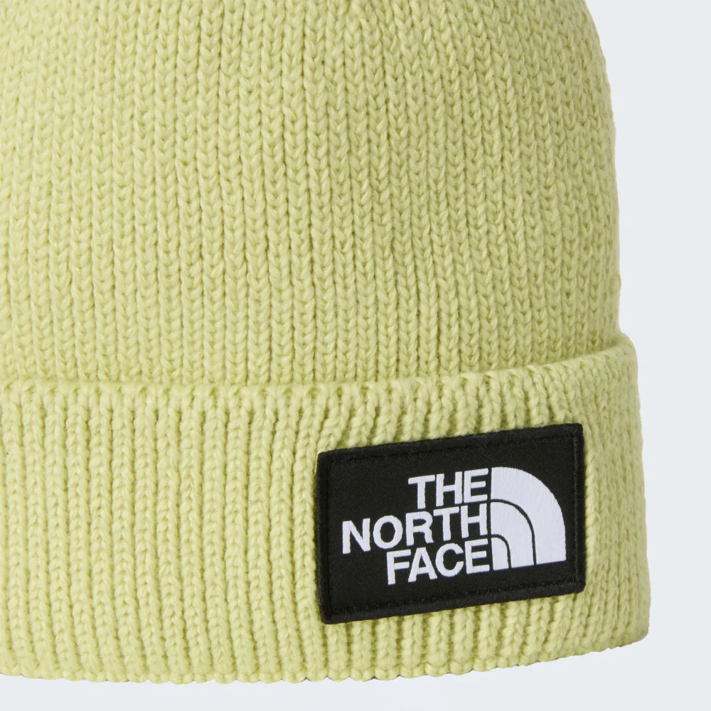 Logo Box Cuffed Beanie in Pear