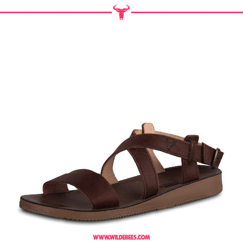 Dawn Shoe in Brown