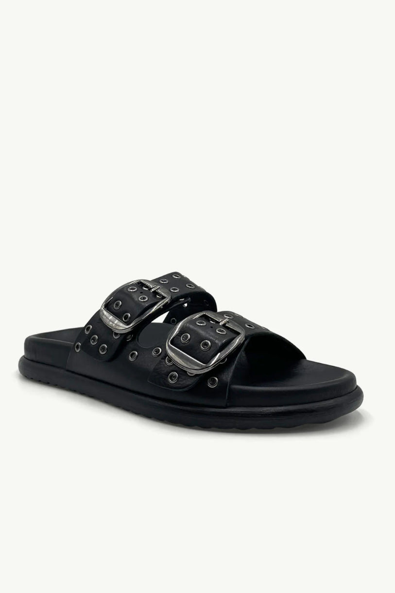 Black sandal with metal buckles on a white background