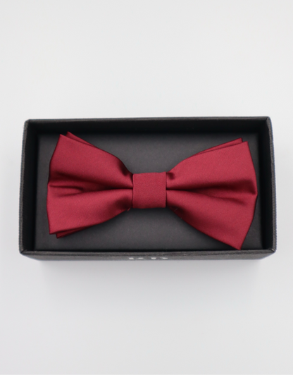 Bowtie With Matching Pocket Square in Maroon