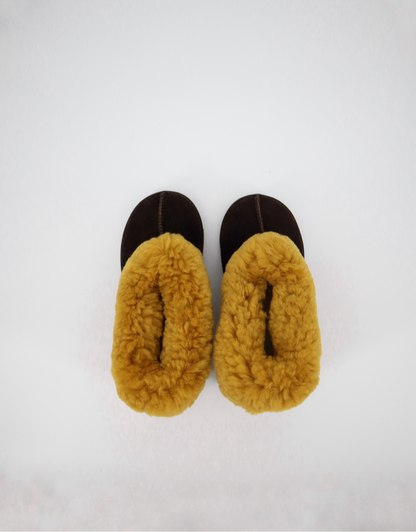 Cosy Sheepskin Wool Slipper in Chocolate with Gold Collar