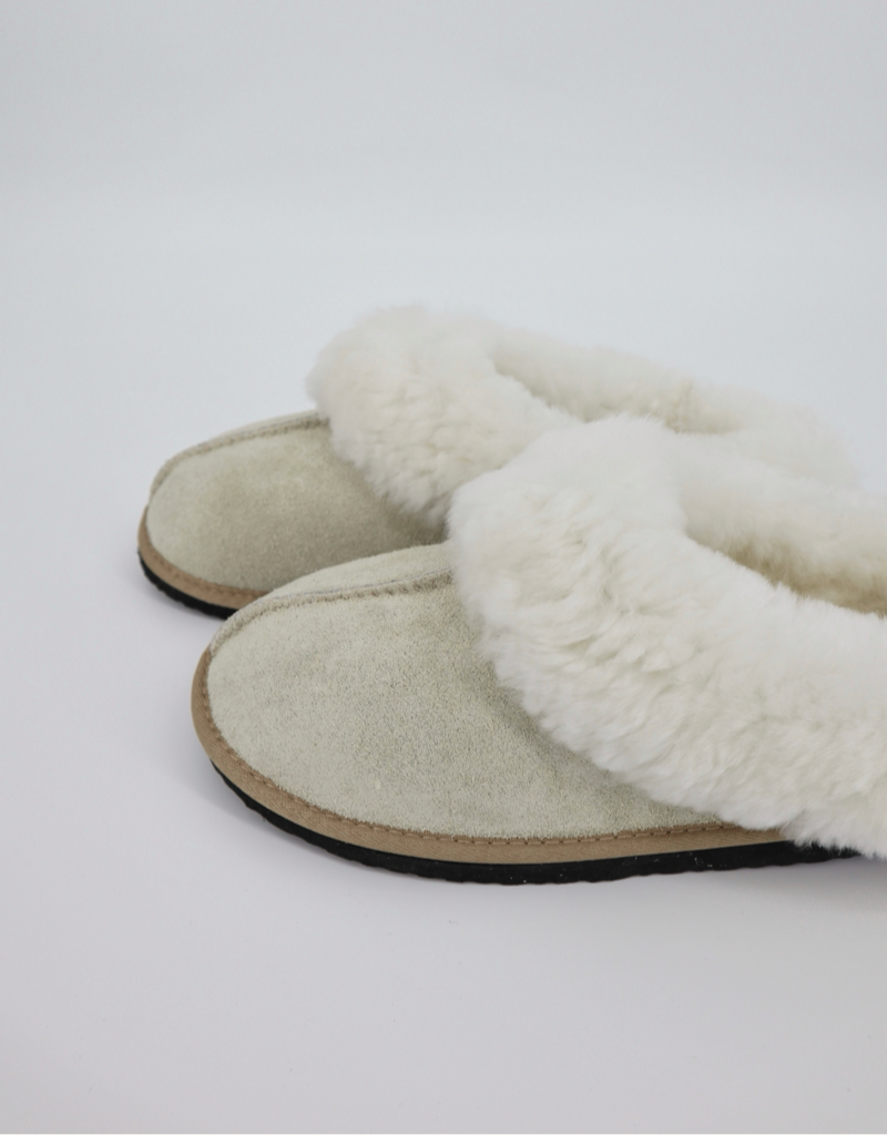 Sleek Sheepskin Wool Slipper in Sand with White Collar