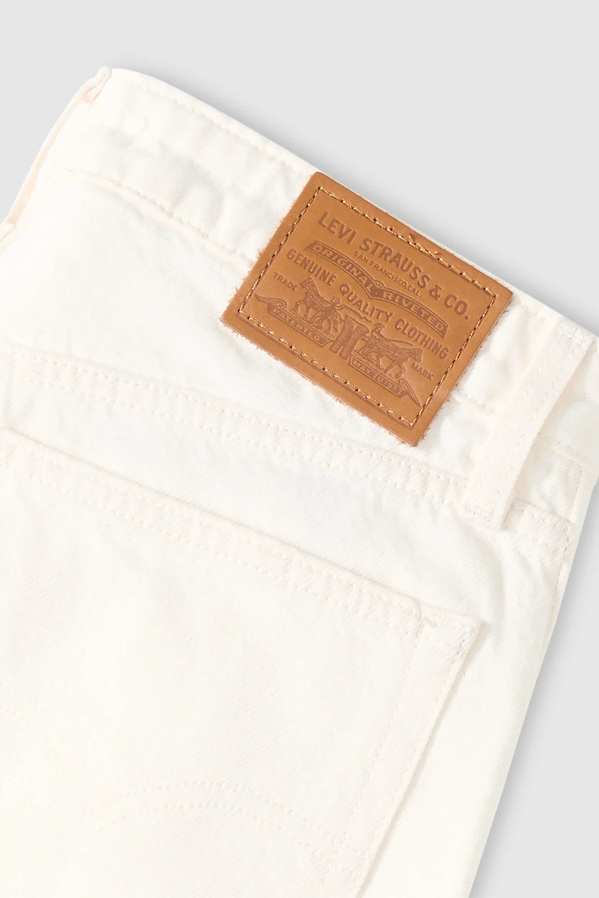 Baggy Dad Barrel Jeans in Truth Slip