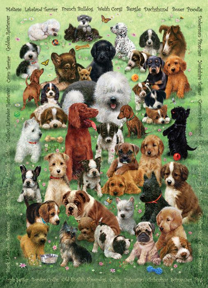 350 Piece Family Puzzle / Puppy Love