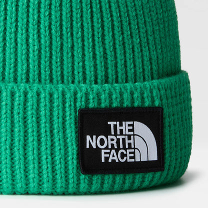 TNF Logo Box Cuffed Beanie in Optic Emerald