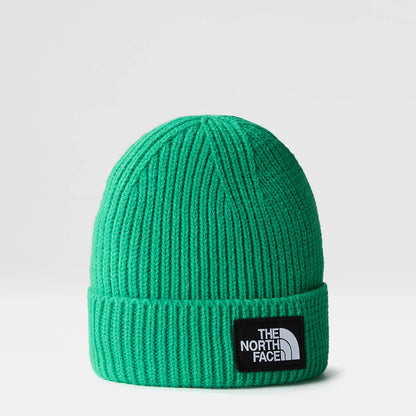 TNF Logo Box Cuffed Beanie in Optic Emerald