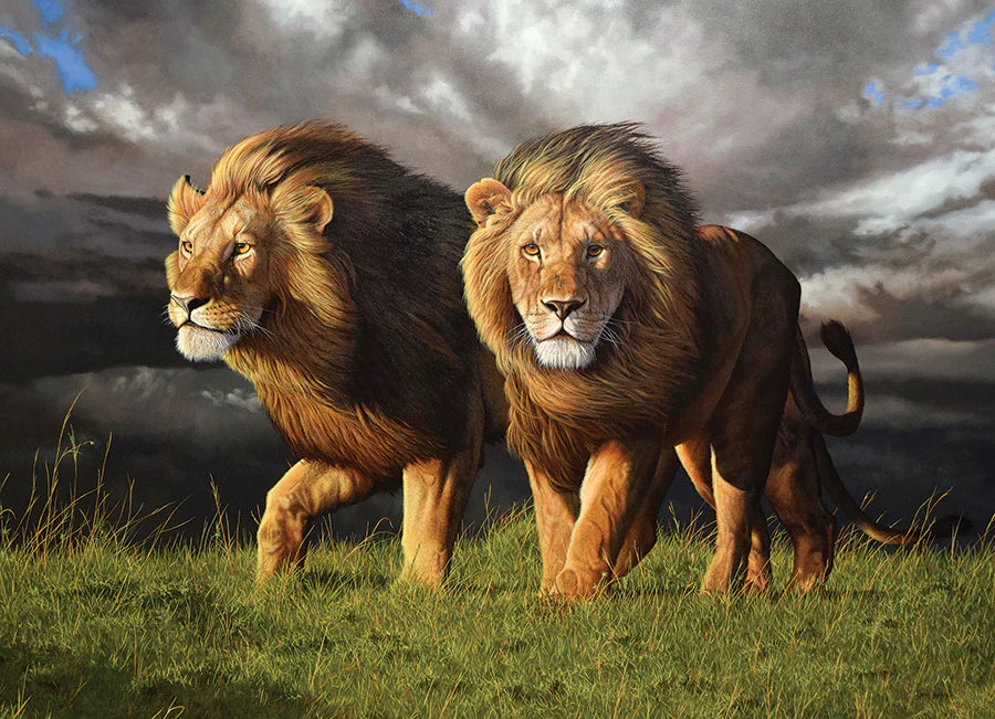 'Approaching Storm' 1000 Piece Puzzle