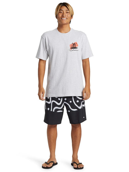 Quik Surfer Tee in Snow Heather