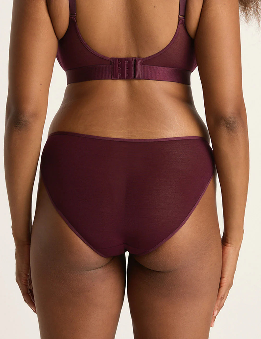 FreeMesh Bikini in Fig