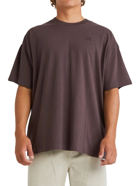 OG Wave Wash T-Shirt in Plum