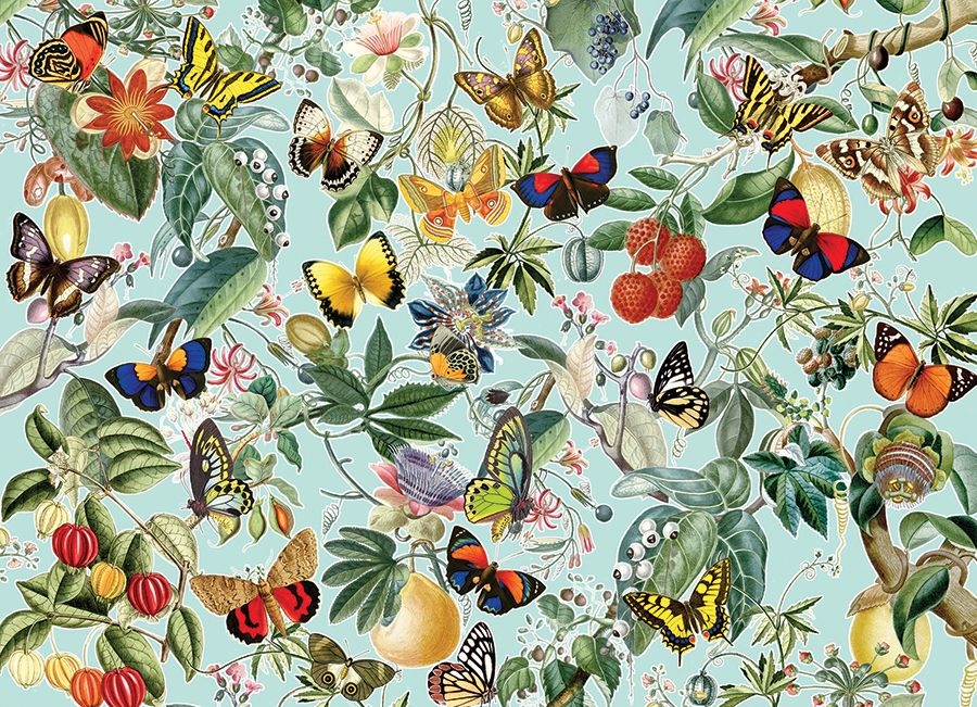 1000 Piece Puzzle in Fruits & Flutterbies