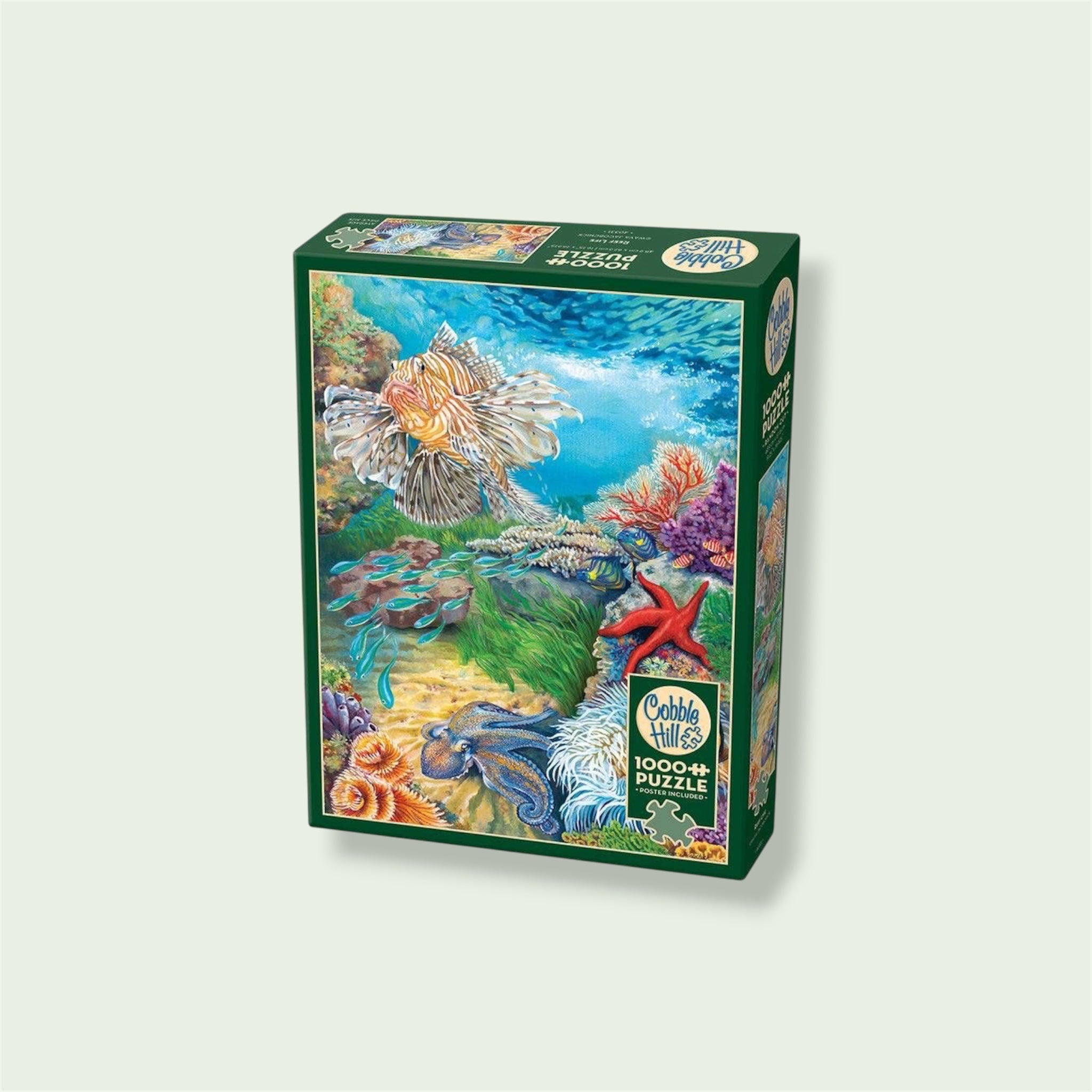 1000 Piece Puzzle in Reef Life