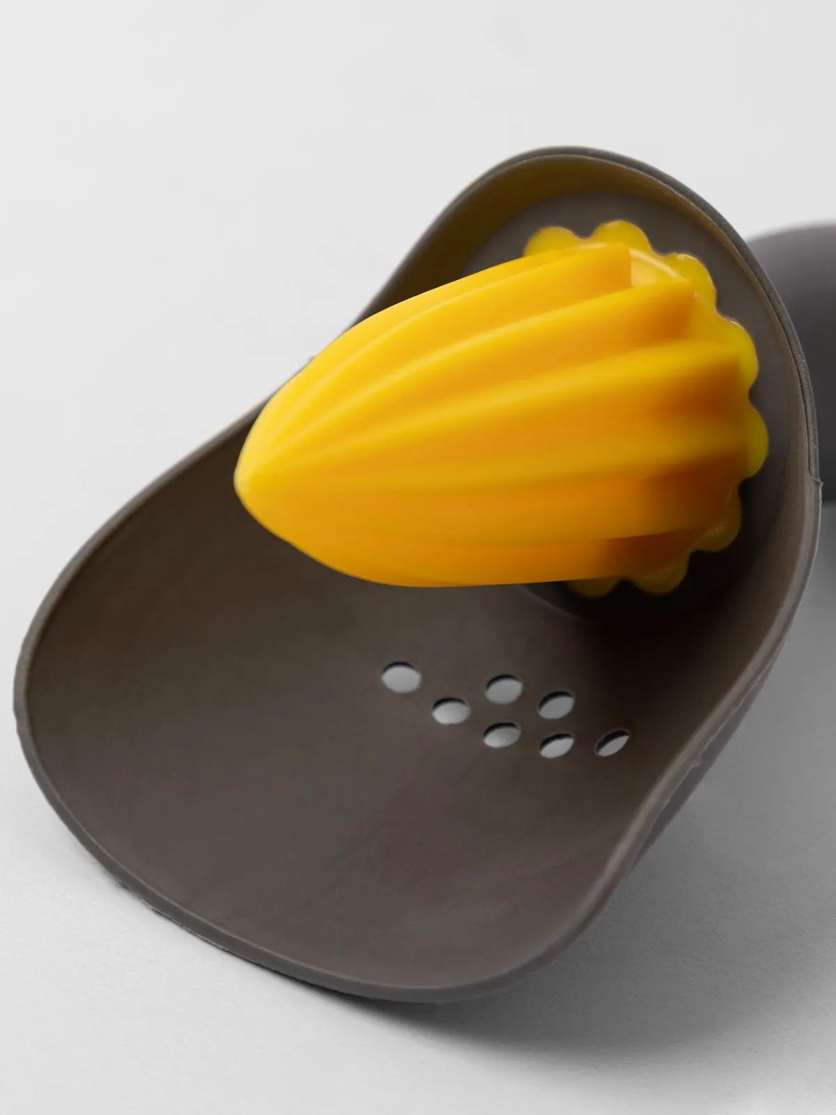 Citrus Reamer