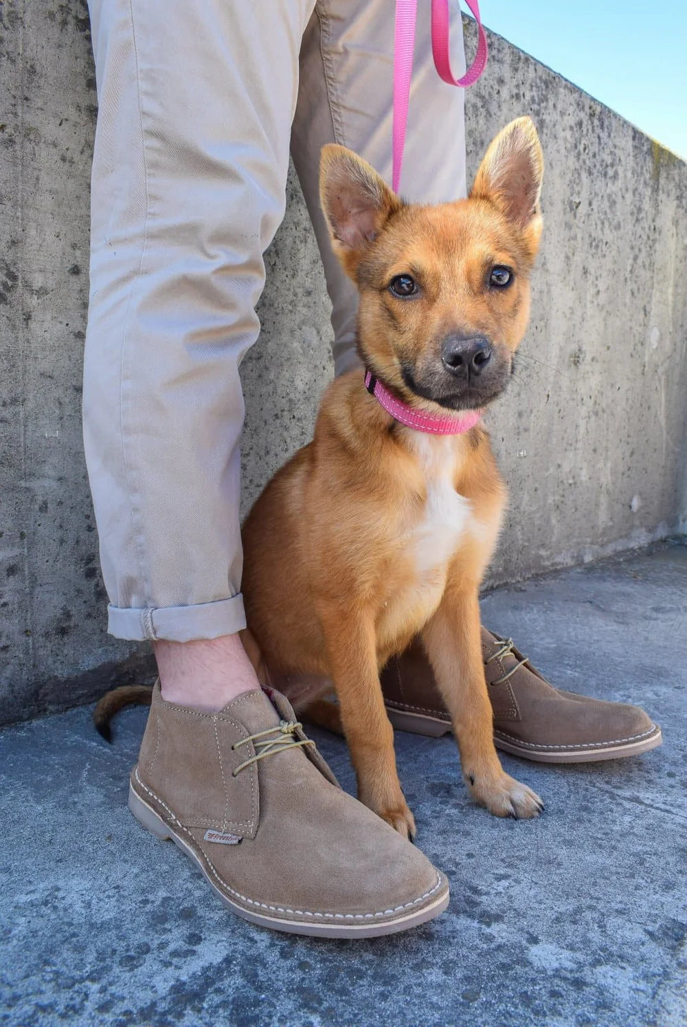 Hunter Unisex Suede Vellie in Khaki