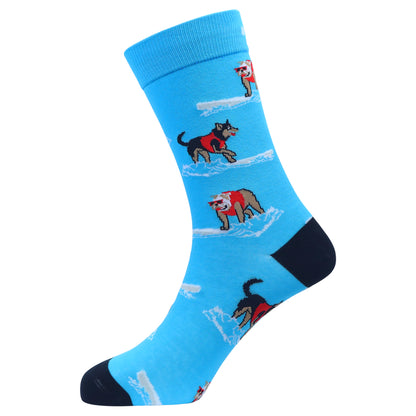 Cotton Hang Ten Socks