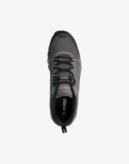 M Grand Paradiso Low in Asphalt / Brown Sugar