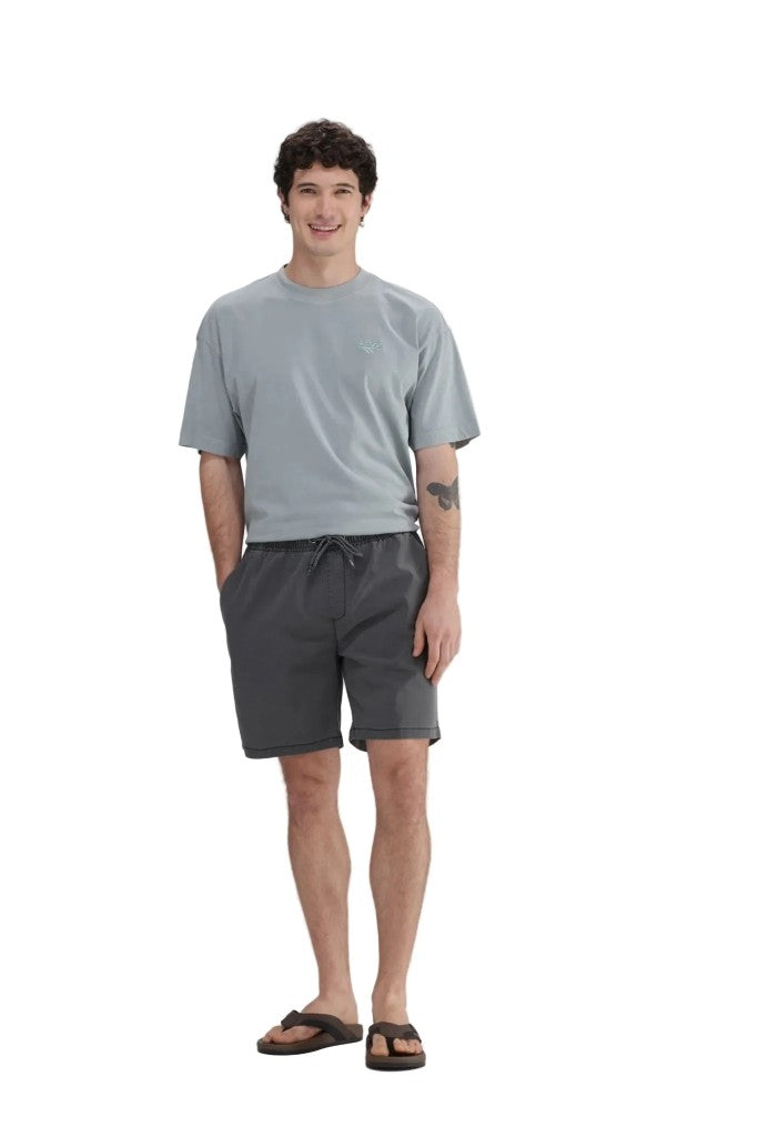 Stonewash Shorts in Odyssey Grey