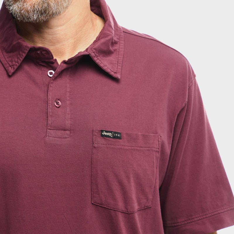 Pigment Wash Basic Polo in Maroon