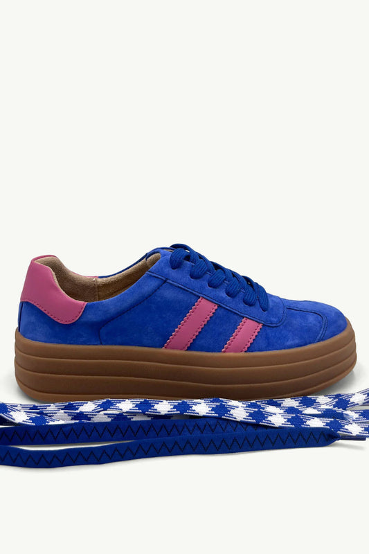 Bree Leather Sneaker in Electric Blue / Pink
