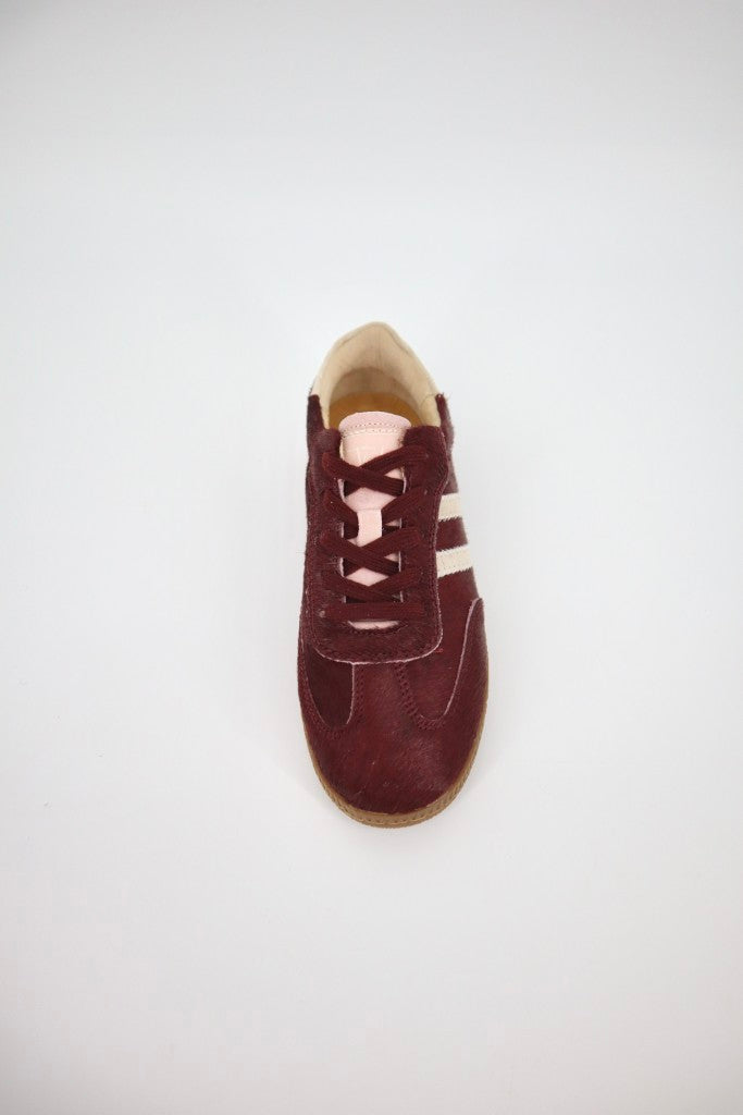 Shiloh Sneaker in Burgundy