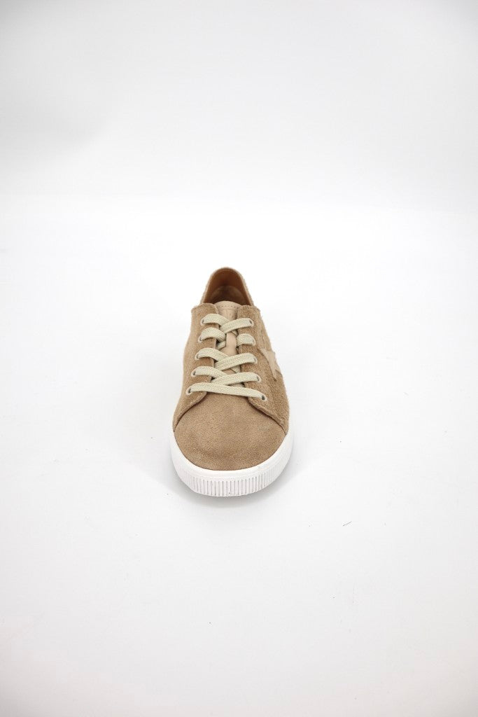 Julz Vicki Sneaker in Teddy Brown | Shop AP Jones Online Now
