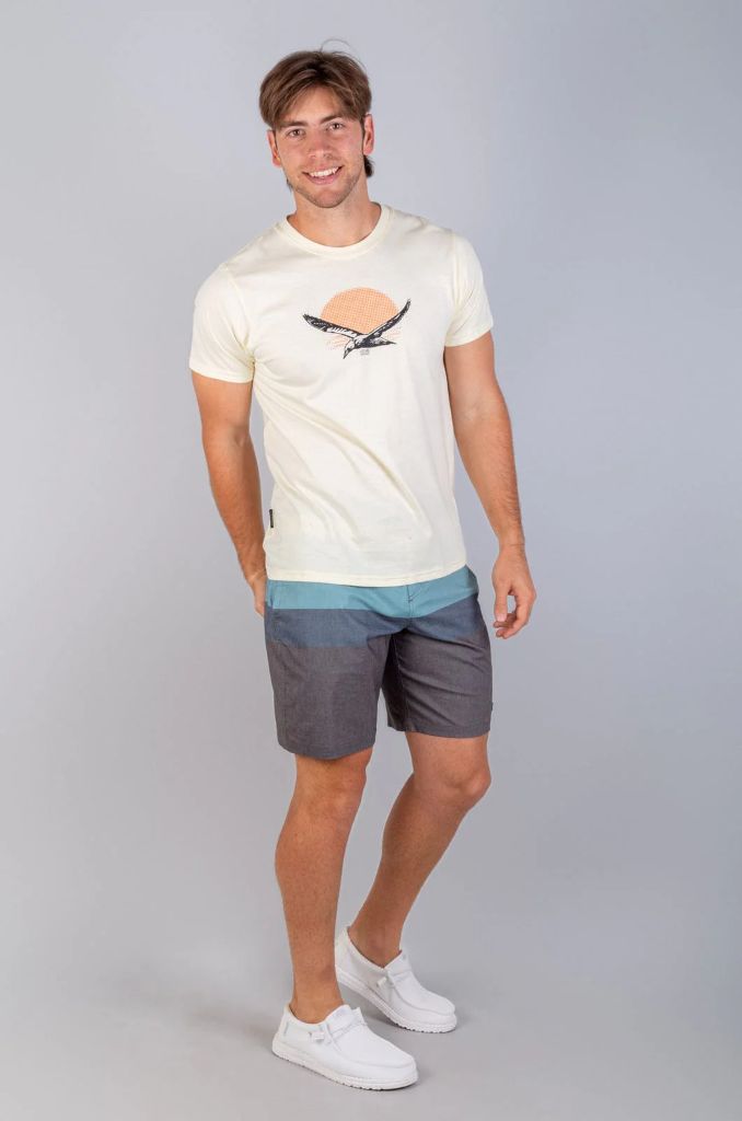 Papoi Boardshort in Ocean Stripe