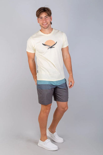 Papoi Boardshort in Ocean Stripe