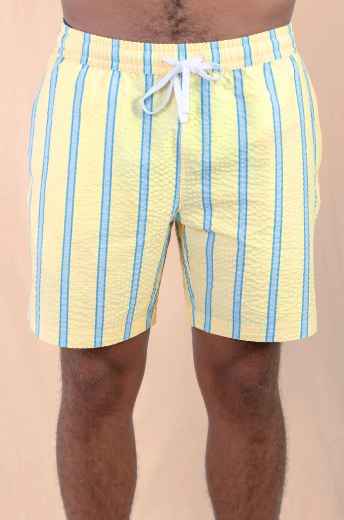 Todd Elasticated Boardie in Yellow Stripe