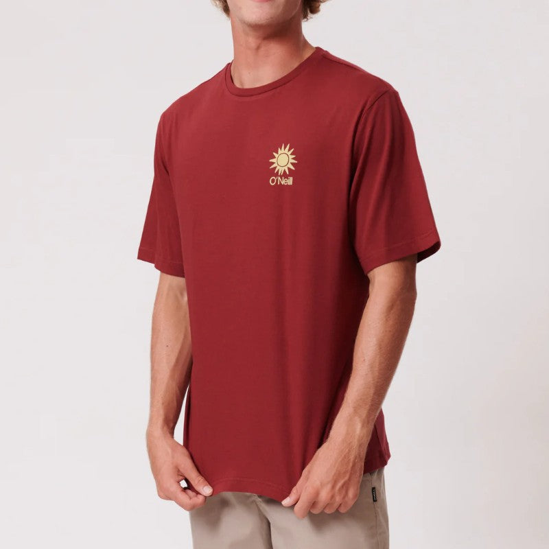 OG Block SS Tee in Cordovan