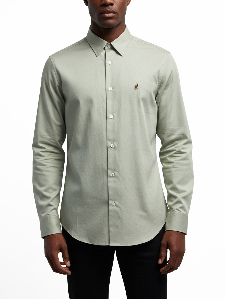 Iman Oxford LS Shirt in Sage