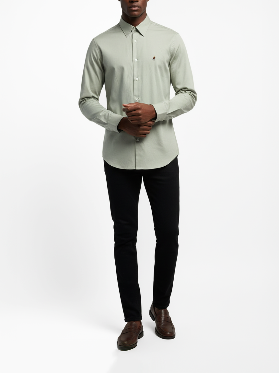 Iman Oxford LS Shirt in Sage