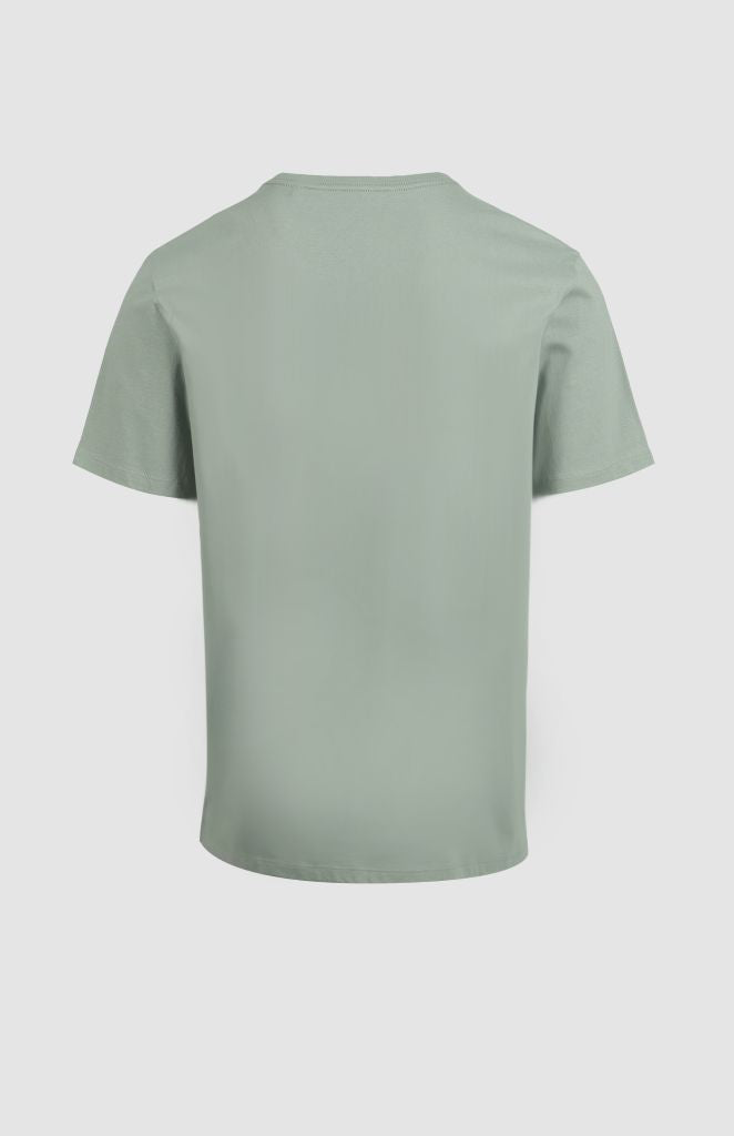 Richard Raised Print T-Shirt in Sage