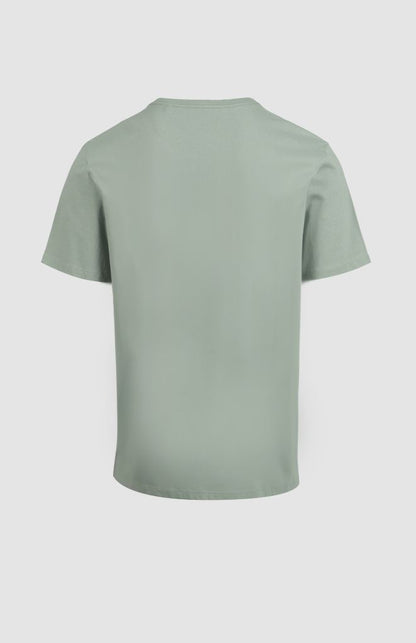 Richard Raised Print T-Shirt in Sage