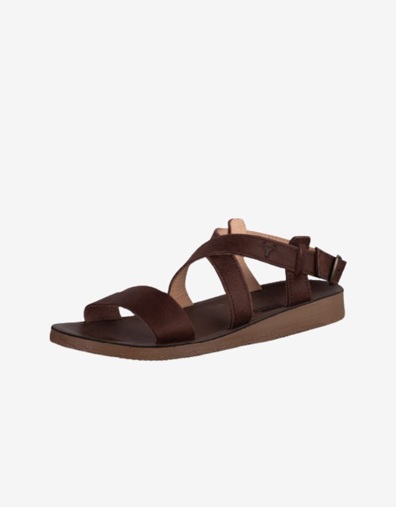 Dawn Shoe in Brown